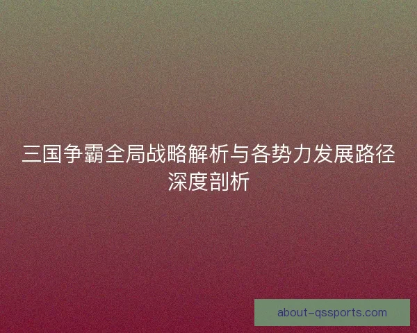 三国争霸全局战略解析与各势力发展路径深度剖析